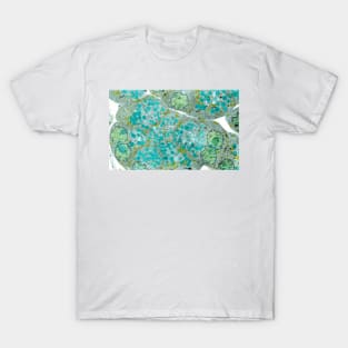 Pancreatic secretory cells, TEM (P540/0120) T-Shirt